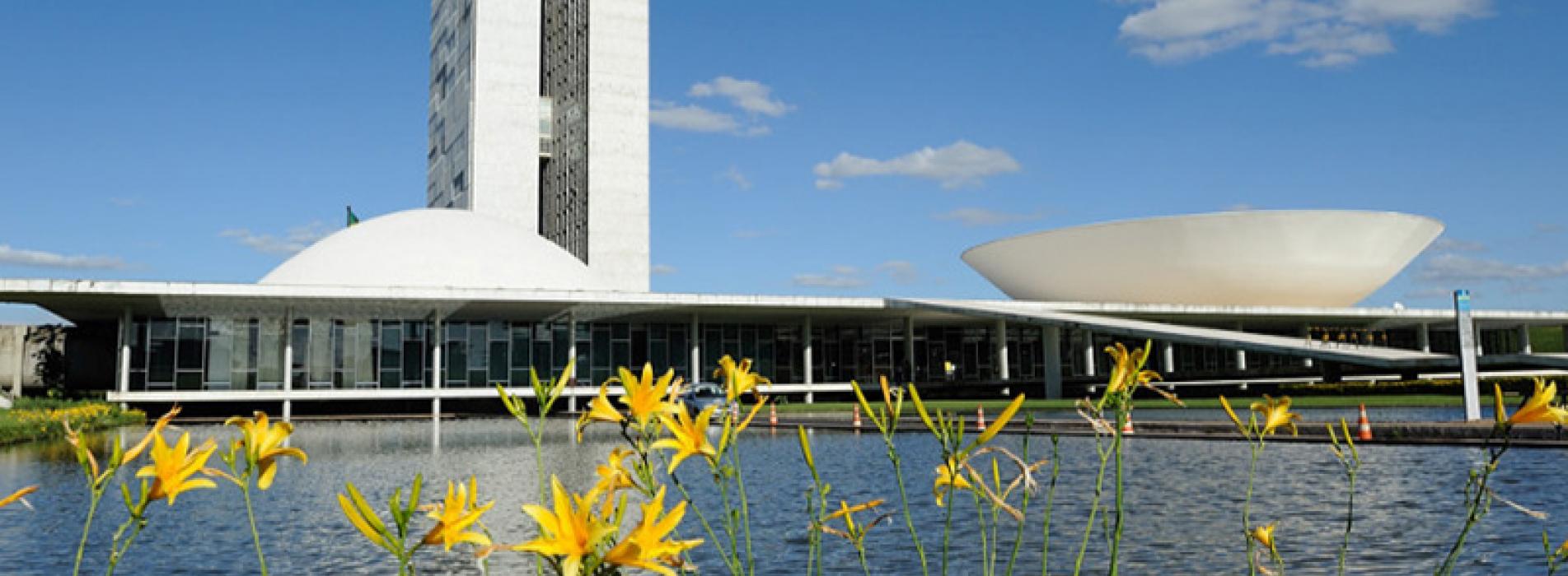 Senado federal